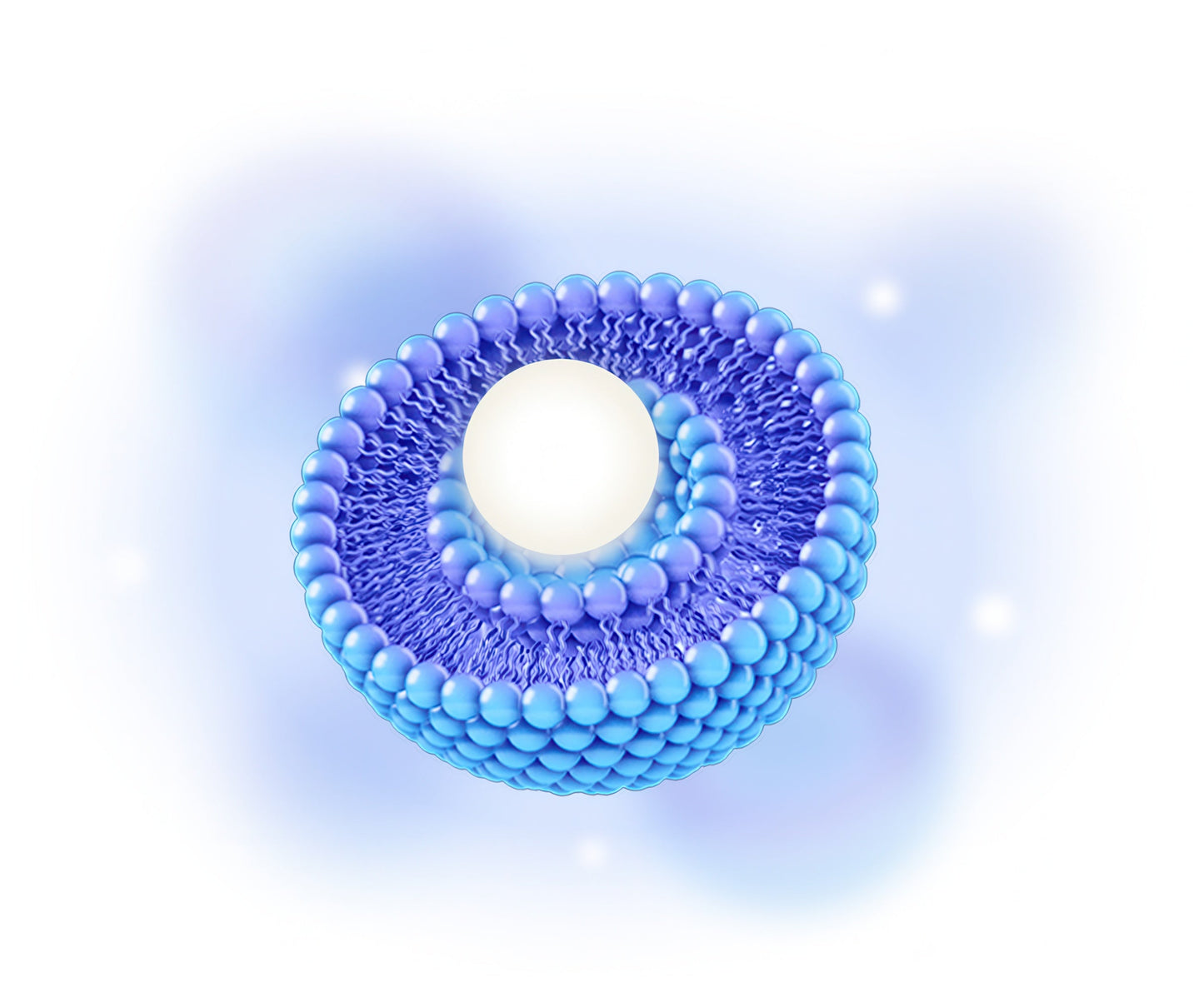 Liposomal Curcumin + Resveratrol